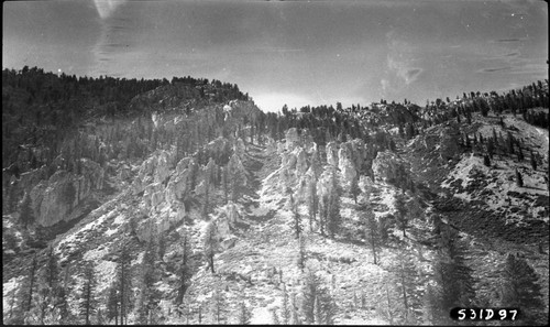 Misc. Geology, "Deserted Village" between Dean Cutoff and Tyndall Creek Trail, Montane Chaporral Plant Community