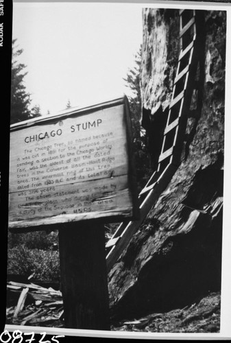 Signs, Chicago Stump sign, Giant Sequoia Stumps