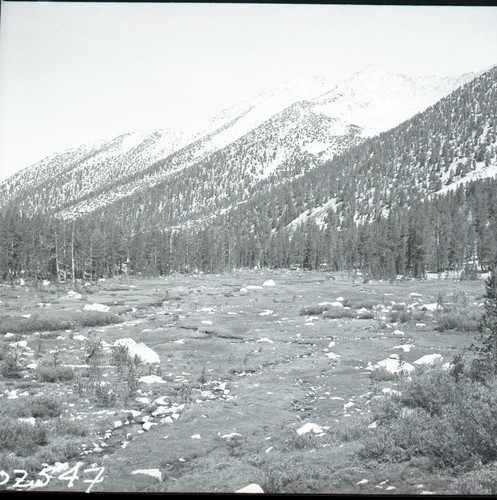 Misc. Meadows, first meadow below Charlotte Lake. Meadow Studies, Subalpine Meadow Plant Community