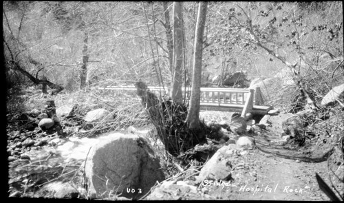 Bridges, Hospital Rock Bridge. (near Buckeye Falt ?, Paradise Creek ?) MIsc. Creeks. unknown date