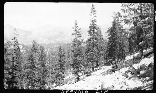 Hidden Lake area, Sequoia National Forest. Subalpine Forest Plant Community Plot #622. 8650' Type Map. 1 1/2 miles east of Hidden Lake