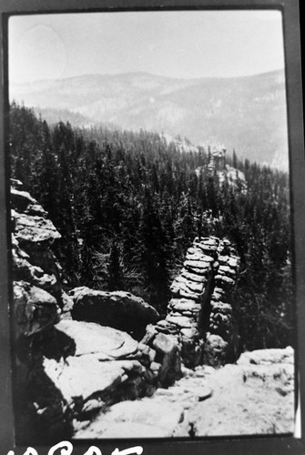 Red Fir Forest Plant Community, Exfoliation and Weathering. Poop Out Pass and Jennie Lake area in background. View from west slope of Mount Maddox