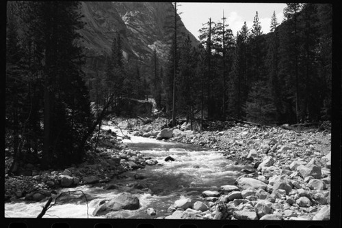 Middle Fork Kings River