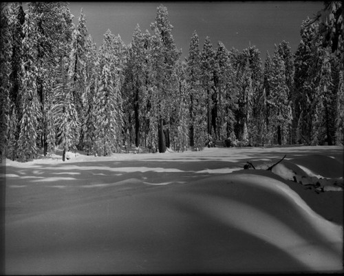 Record Heavy Snows, Round Meadow with 100 inches of snow