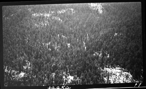 Misc. Domes, Round Meadow at Upper Center looking northeast, air photo. Beetle Rock at lower left