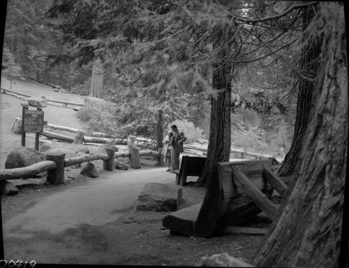 Robert Zink. Grant Grove. KCNP, 580606. Building and Utilities, Railing at Grant Tree