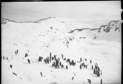 Winter Scenes, Ansel Lake Drainage in snow. Subalpine Forest PLant Community