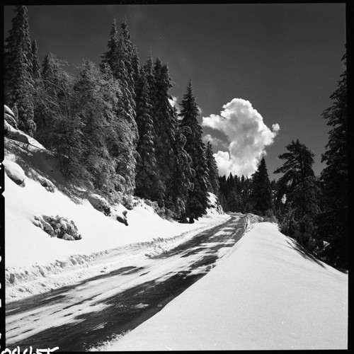 Winter Scenes, Generals Highway in snow