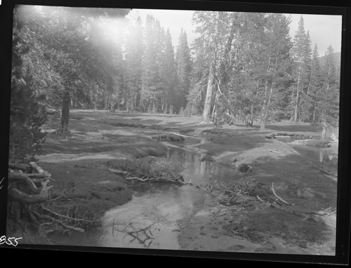 Meadow studies, short feed, stream erosion. Misc. Meadows, Misc. Creeks