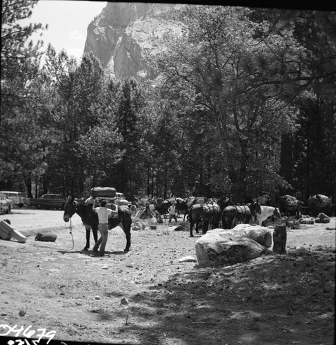 Stock Use, Sierra Club Stock Party Preparations