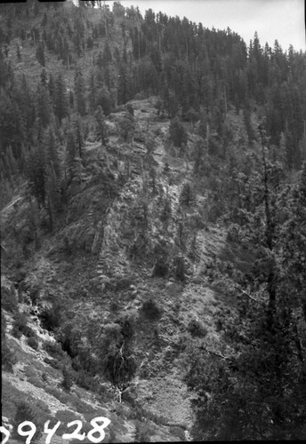 Misc. Geology, Spring on side of Crystal drainage, coming out of limestone