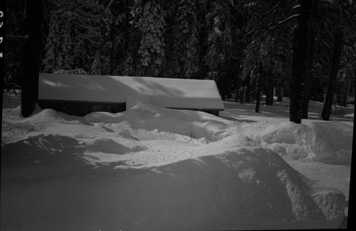 Record Heavy Snows, Critical snow conditions at Grant Grove after storm of February 4, 5, 6