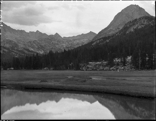 Meadow studies, McClure Meadow, Evolution Creek. The Hermit