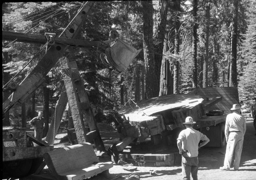 Giant Sequoia Sections, Unloading section at Giant Forest Museum