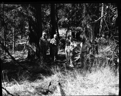 Kaweah Colony, Kaweah Colony Grave, below Colony Mill Ranger Station, on road. Remarks: Right to Left: Paul Chambers, Joe Doctor, John Grunigen, Jim Wheeler, Hal Schutt