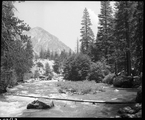 South Fork Kings River, Zumwalt Meadow area