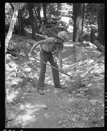 Construction, California Conservation Corps members working on Mist Falls Trail. Individual unidentified