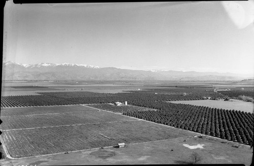 Hill north of Woodlake, Misc. Valleys, San Joaquin Valley and Sierra Nevada. Remarks: Good early valley photos of agriculture. Right panel of three panel panorama from Sand Creek to Blue Ridge. Farmin