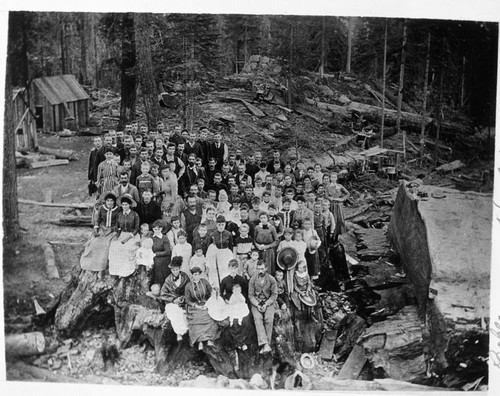 Converse Basin, Logging, More than 100 people on stump. Misc. Groups