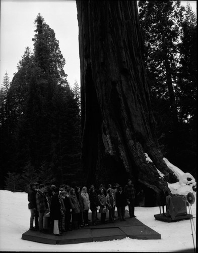 Nation's Christmas Tree Ceremony, 1970