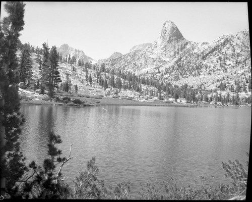 Fin Dome, Subalpine Forest Plant Community