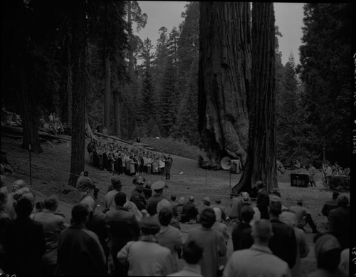 Nation's Christmas Tree Ceremony, 1959