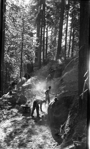 CCC, truck trail construction to fallen Sequoia Tree