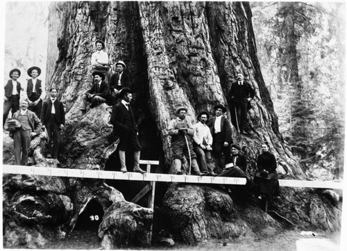 General Grant Tree, lumbermen and visitors at tree