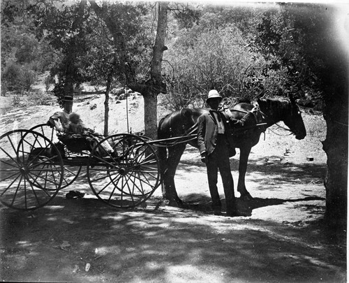 Kaweah Colony, Horse and buggy