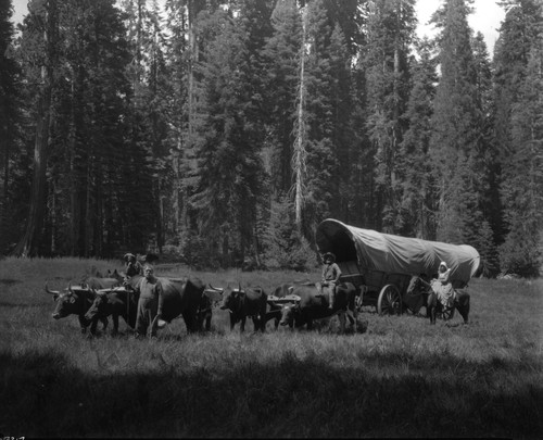 1930 ; carriage ; horse ; meadow ; movie set ; ox team