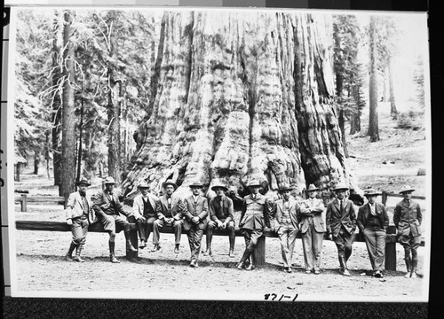 General Sherman Tree, Misc. Groups, San Joaquin Valley section, Conservation Committee of State Chamber of Commerce. L to R: ?, Benedict, Dudley, ?, Stevenot, Col. White, Leavitt, ?, ?, Hall, Sanford