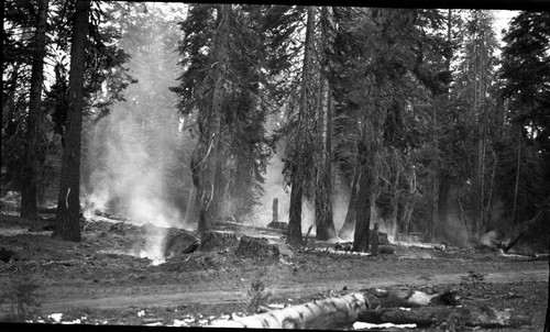 Wildland Fires, careless burning of slash piles between Grant Grove and Sequoia