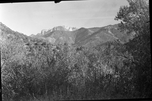 Chaparral Regeneration Sequences, Castle Rocks from Potwisha area