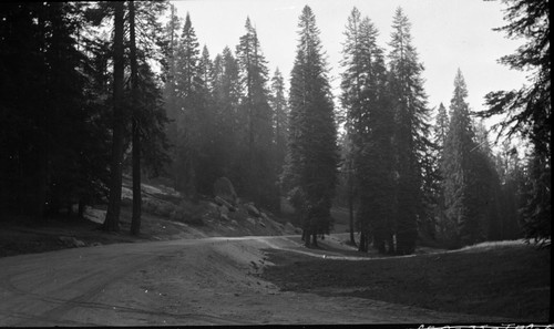 Construction, Generals Highway near completion, unpaved