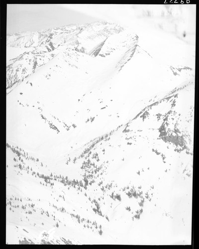 Misc. Basins, Bowls south of Farewell Gap (aerial view)