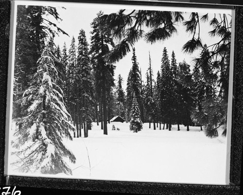 Winter Scenes, Headquarters Meadow (Grant Grove Meadow)