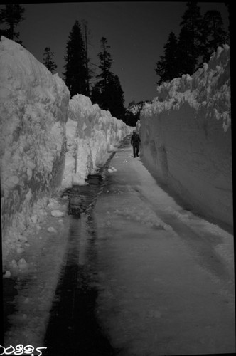 Robert Zink, Generals Highway between the Wye and Kings Canyon Overlook, Record Heavy Snow, One lane cleared near Big Baldy. 630322