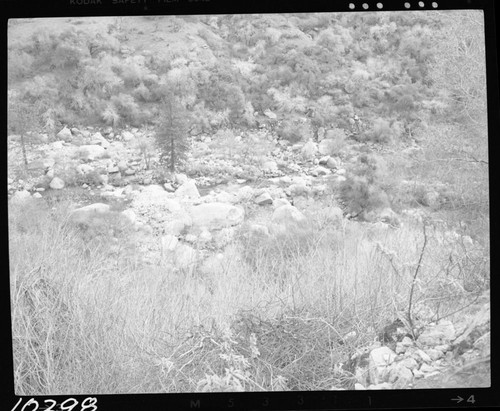 Middle Fork Kaweah River