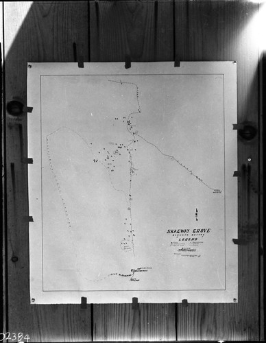 Maps and graphics, Maps of Skagway Groves