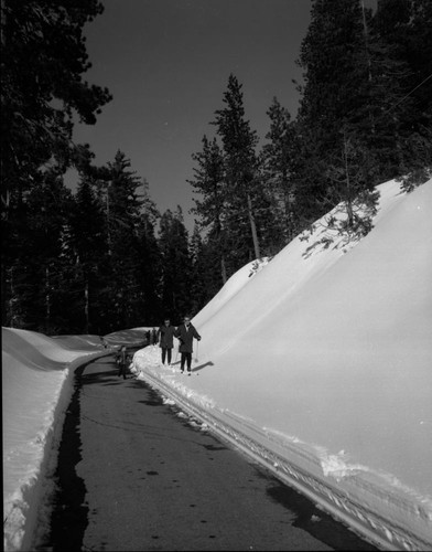 Record Heavy Snow, Skiing, Record snowfall, Giant Forest