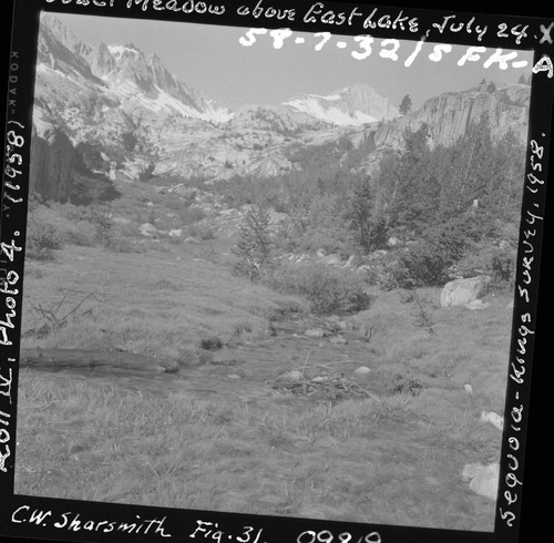 Meadow studies, Ouzel Meadow, permanent meadow photo plot study