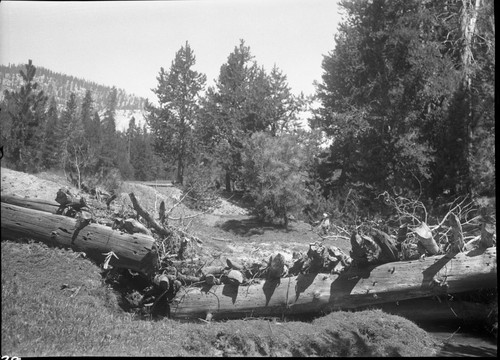 Meadow studies, downstream side of creek showing dam, Misc. Resource Managment Concerns