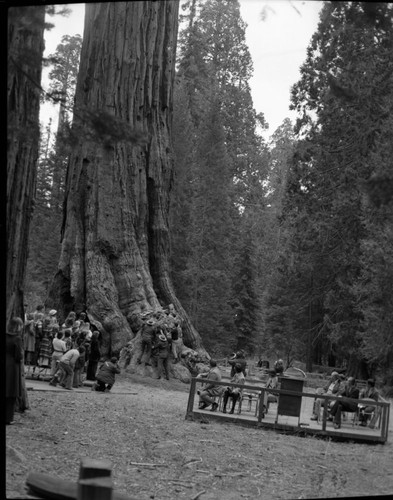 Superintendent David Thompson at Nation's Christmas Tree Ceremony 1977