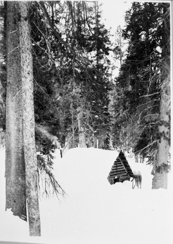 Ranger Stations, Clover Creek Patrol Cabin (2 negs)