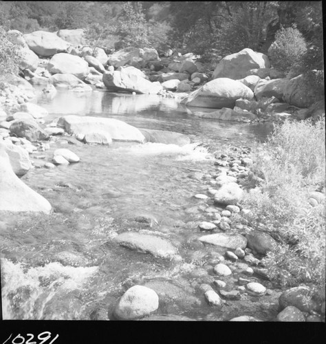 Middle Fork Kaweah River