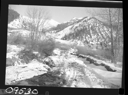 Flood and Storm Damage, Damaged Road at Ranger Station