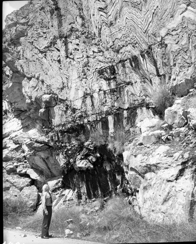 Misc. Geology, Jim Hartzell by folded limestone about 2 miles above Boyden Cave. NPS Individuals