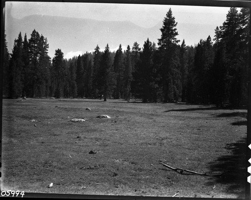 Misc. Meadows, proposed Administrative Pasture. Right of two panels