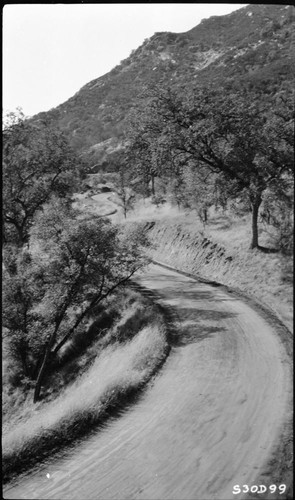 Generals Highway near Potwisha Camp