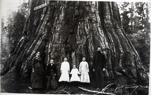 Mark Twain Tree, Miscellaneous Groups, Ben Hicks and family of Visalia at Mark Twain Tree, 1880's